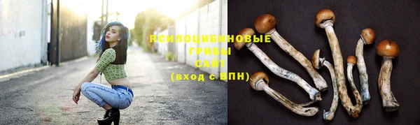 MDMA Premium VHQ Нязепетровск