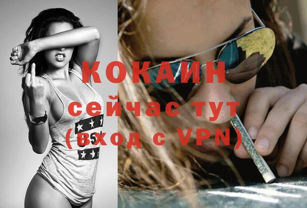 a pvp Няндома