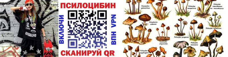 купить наркоту  мега онион  Псилоцибиновые грибы Cubensis  Тара 