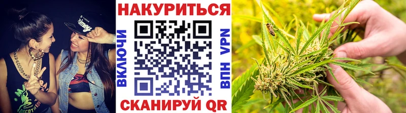 OMG рабочий сайт хочу наркоту Тара МАРИХУАНА план
